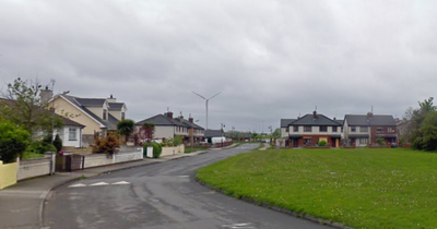 Gardai appeal for witnesses to alleged arson attack at a house in Louth as investigation launched