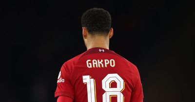Cody Gakpo is quietly doing something for Liverpool that Jurgen Klopp will love