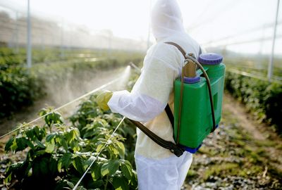 How pesticides intensify global warming