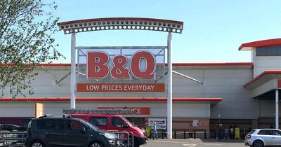 £7 B&Q plant that NASA says can banish mould and toxins from your home