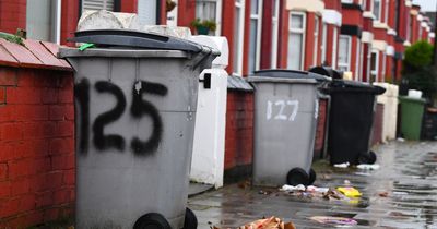 Council accused of rewarding contractor while rubbish piled up