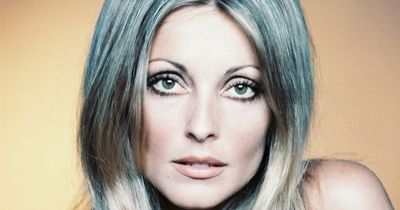 Sharon Tate's harrowing fight to save unborn baby as Charles Mason Family took her life