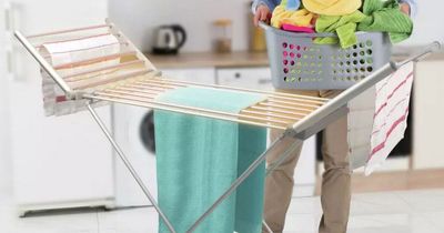 Argos shoppers rush to buy heated clothes airer that costs pennies to run