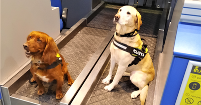 Police dogs sniffing out dirty cash at Belfast International Airport