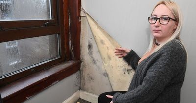 Urgent call to discuss damp in West Lothian homes delayed ahead of report