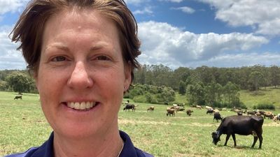 Banks tighten belts on agricultural investment loans as interest rates rise