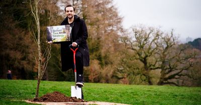 Belfast residents being asked to give their views on plans for more city trees