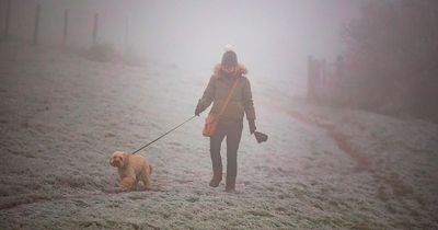 Met Office in urgent weather warning for hazardous freezing fog as temperatures PLUMMET