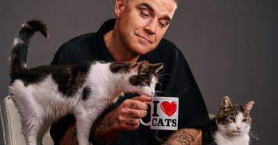 Robbie Williams to release new song as he becomes the voice of famous feline