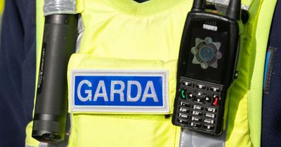 Man arrested and charged after armed robbery and attempted carjacking in Dublin