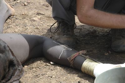 Effort to eradicate Guinea worm disease enters ‘last mile’