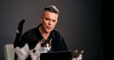 Robbie Williams becomes new voice of Felix the cat in pet food advert