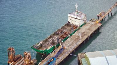 Shipmaster fined $15k over cattle deaths resulting from MV Statesman 2016 Bass Strait voyage