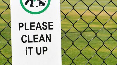 Margaret River council threatens dog park shutdowns as 'high-density' poo zones identified