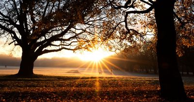 Bright days ahead as Merseyside weather forecast clears up