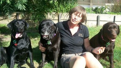 Police arrest missing Elanora woman's son as search continues