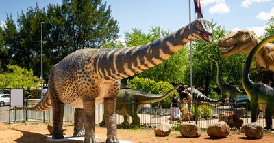 Aussie dinosaur arrives in Canberra in time for Australia Day