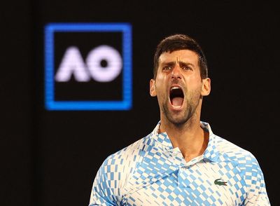 Sublime Novak Djokovic beats Andrey Rublev to reach Australian Open semi-finals