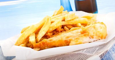 National Fish and Chip Awards 2023: Belfast's Fish City only Northern Irish spot nominated