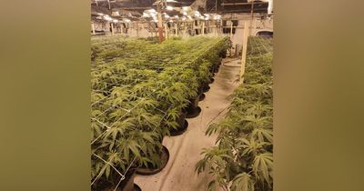 Huge cannabis farm uncovered in historic Greater Manchester mill