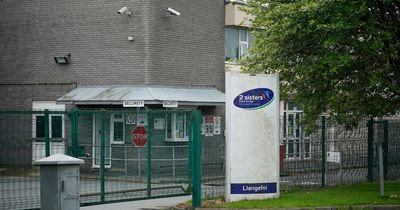 Over 700 jobs at risk as 2 Sisters Food Group warns of Anglesey factory closure