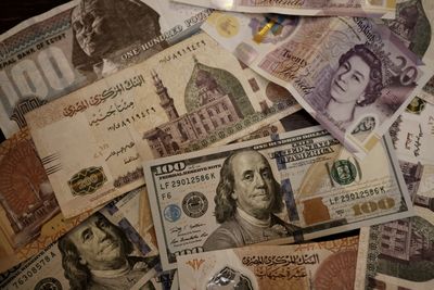 Gov’t mismanagement, external pressures as Arab currencies crash