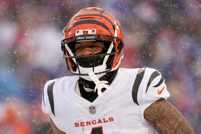 Bills GM takes minor shot at Bengals after divisional round clash