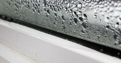 Mrs Hinch fan shares 65p cleaning hack that 'completely cures' condensation from windows