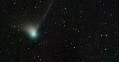 Green comet last seen by Neanderthals 50,000 years ago is now visible from Earth
