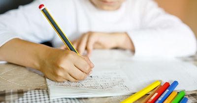 Call for children to be 'involved' in discussions around homework as President speaks out against it