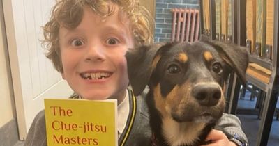 Co Down schoolboy writes and publishes his first children's book at the age of seven