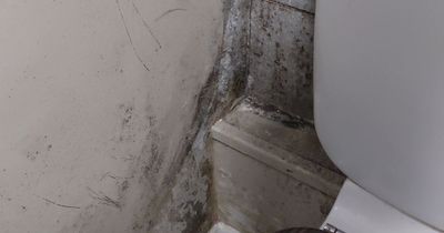 West Belfast residents group on mould fears over old houses