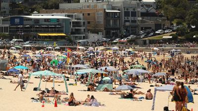 Cancer Council applauds beach cabana popularity amid high Queensland skin cancer rates