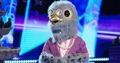 The Masked Singer final eight: All the clues that hint at stars behind the crazy costumes