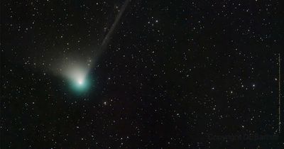 'Green comet' last spotted 50,000 years ago visible in UK skies