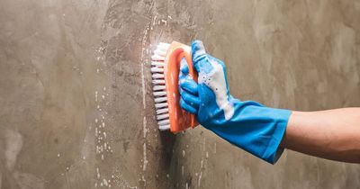 95p product that makes mould on bathroom sealant and grout 'vanish'