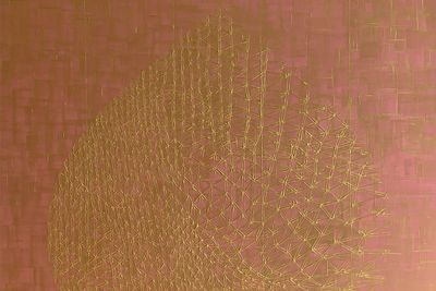 Finding connections in flowers