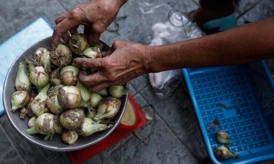 Onion smuggling rackets thrive as staple becomes a luxury in Philippines