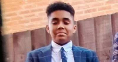 Police concerned for safety of missing schoolboy not seen in three days