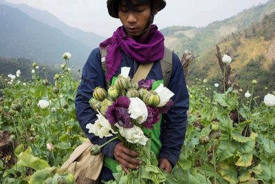 Report: Myanmar opium cultivation surges 33% amid violence