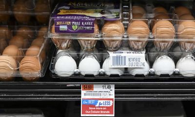 $18 a dozen: how did America’s eggs get absurdly expensive?