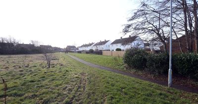 Teen yobs sprayed substance in the face of terrified Gateshead mum, 61, and threw concrete at her