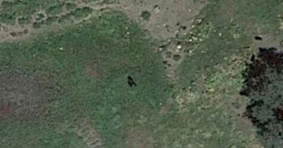 Mystery as 7.5ft 'Bigfoot' creature spotted roaming on Google Earth