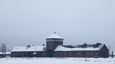 Survey: Half Of Americans Don’t Know How Many Jews Died In The Holocaust