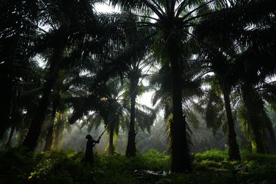 Half of global GDP relies on nature–but it’s being wiped out. Here’s the business case for investing in biodiversity