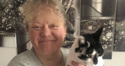 Cat swipes teddy from grave - 'egged on by ghost of dead dog pal'