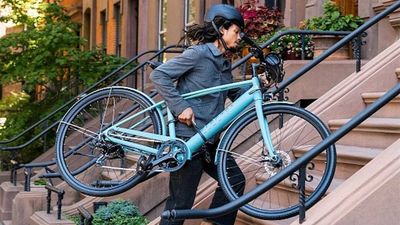 Electra Presents The Hip And Stylish 7D EQ Step-Over E-Bike