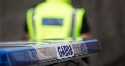 Toddler dies in 'tragic choking accident' at house in Cork