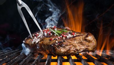 Carnivore, lion diets: Is eating only meat really good for you?