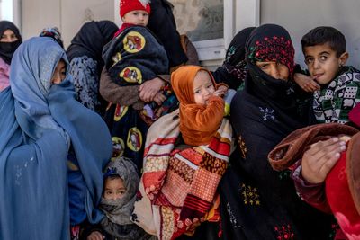 UN food agency: Afghan malnutrition rates at record high